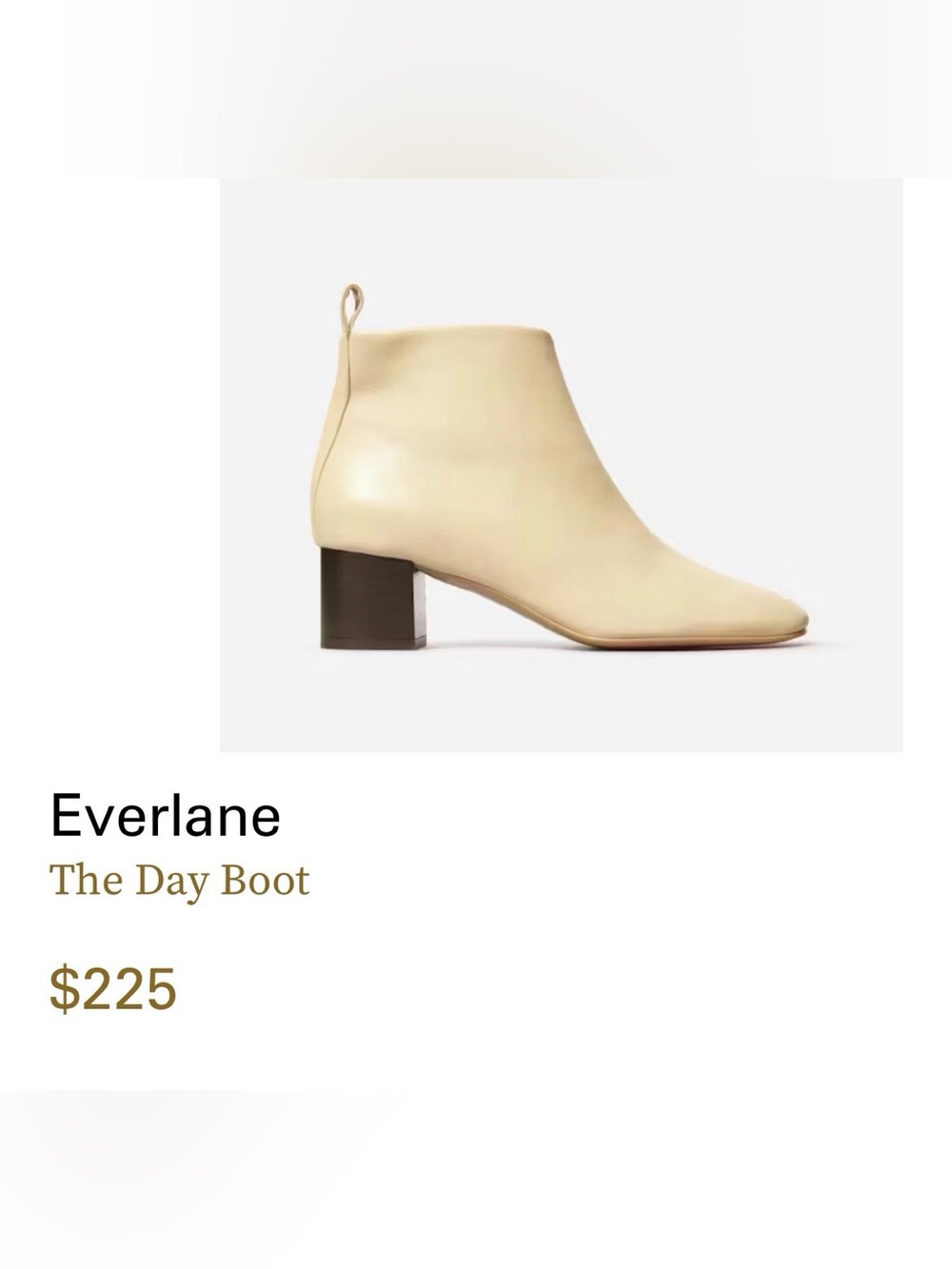 Everlane Made in Italy Leather Day Boot Sz 10